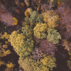 53767926527216059655815230459290075680023416823496414211124190730997064531969