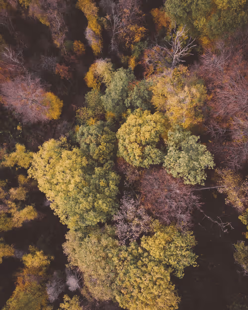 Item #53767926527216059655815230459290075680023416823496414211124190730997064531969 Media