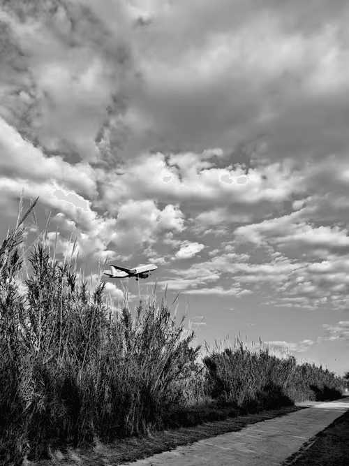 Item #36816001644917254617906175698674191035781868216999975889902342328867589455873 Media