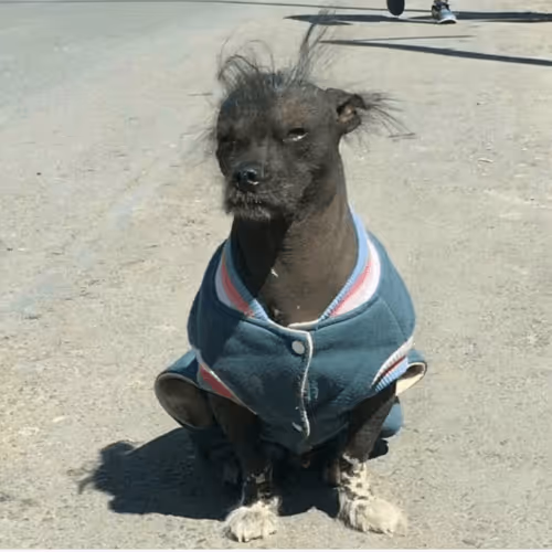 Untitled Collection #435713965