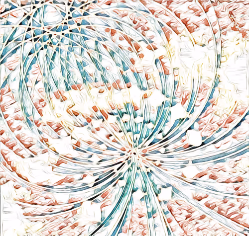 Untitled Collection #324114050