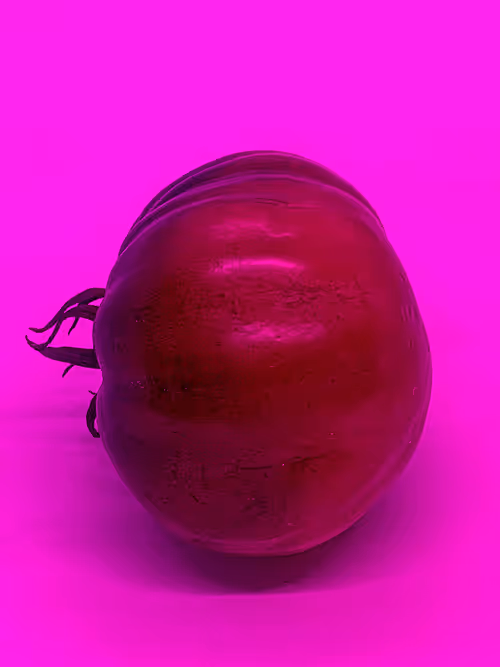 Item #110692649264369377071495627220392981109400302920527361961030166675577718702081 Media