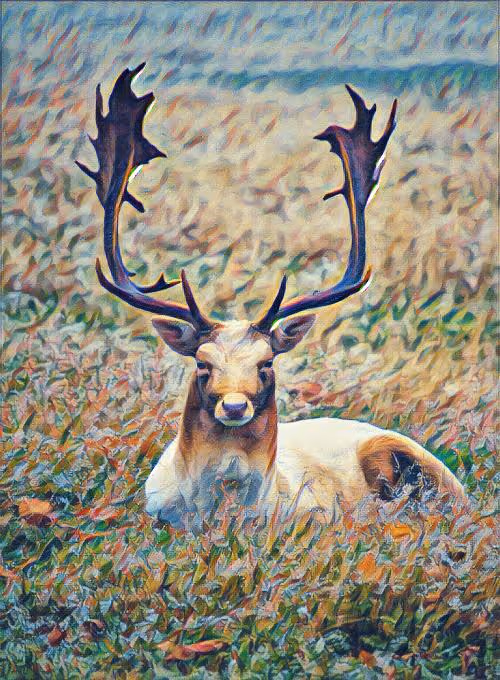 Item #74388721199083954673298778298232823886096642493620239959546428890948426530817 Media