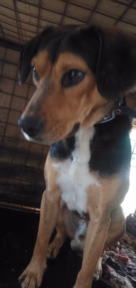 Item #23439807421783349604606688817165201350165750151979961366033252244695409491969 Media