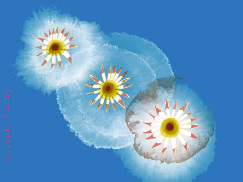 Item #36852278608857291470989576231944557876708875347652874372458497595762819465217 Media