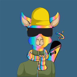 Activated Ski Alpaca