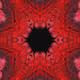 77077131467420648605650977251707435865549248741388920697615720767084763807745