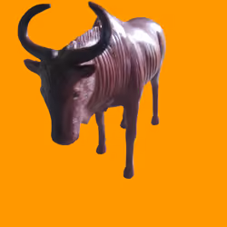 cowzia
