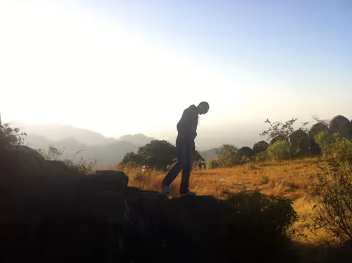 Untitled Collection #31362409