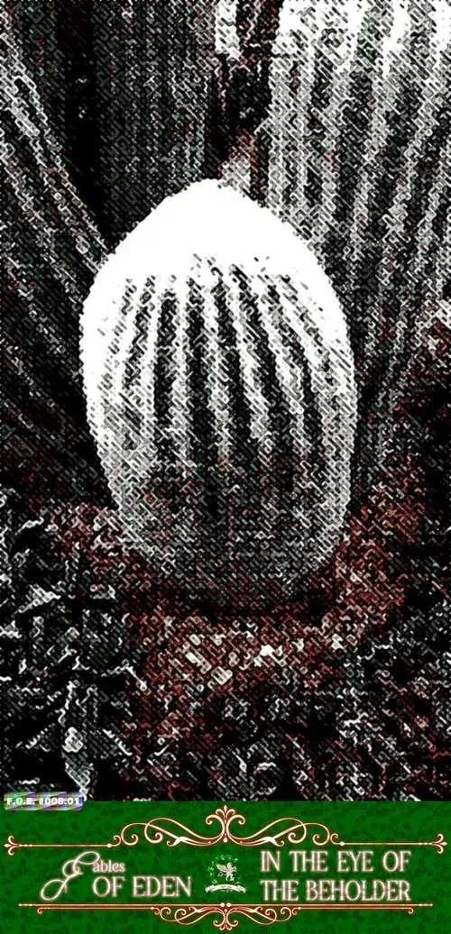 Item #111848979152032696048250741203495729991903103051508547843647447398031795683329 Media