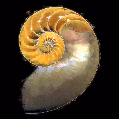 Item #13910190648762315662079710704856078939723140793853213427019058092903040548865 Media