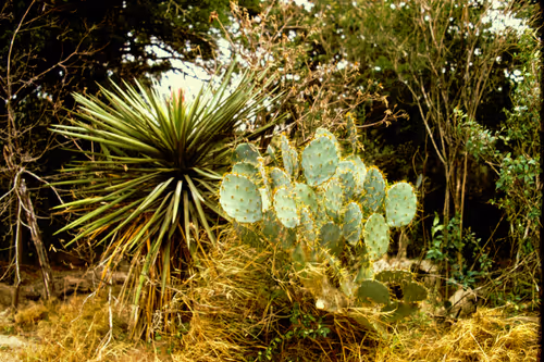 Item #113047771030127017240919341709485116586684509374101894410877815057978438451201 Media