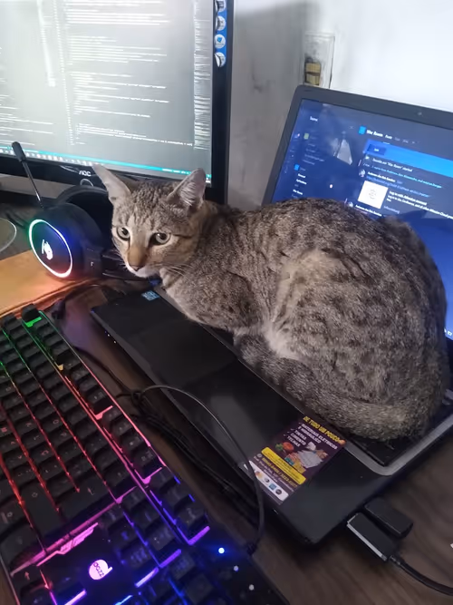 Item #4206968959528382267850550168117913088191590325513865346546053350558760173569 Media