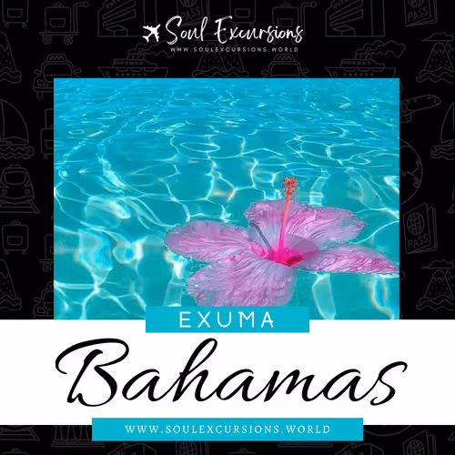 Item #66062759259298317495242665808143605487960305521075017354073139698868663877633 Media