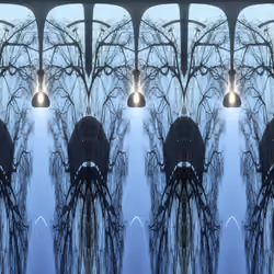 Ganglion Ships
