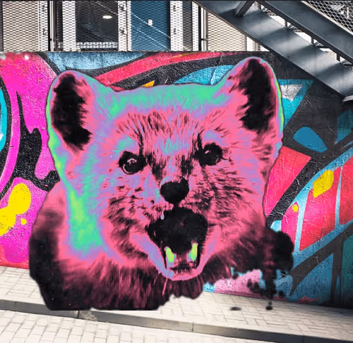 Item #64849469388568567391882735248017375202922545580058110511068989705348909629450 Media