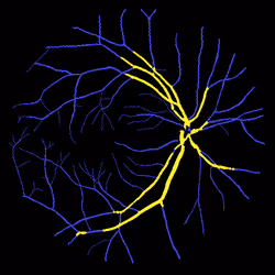 7078802064077755305879053961196844759257248211509687953083585688987250982913