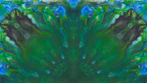 Item #105916912724149700790689724842236030018692939119780557003912081559840398245889 Media