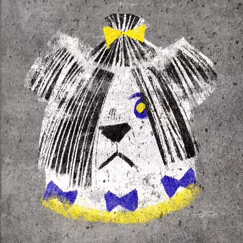 Maltese dog #052