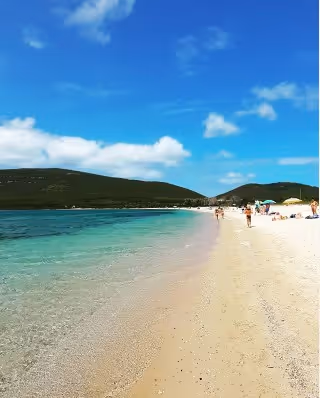 Item #45466756678246068286261063516012942112502950237172911931341869177360726622213 Media