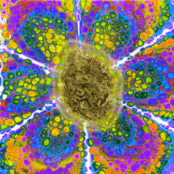 13955282856406335165414100891374623718709547313428947888299034002236299542533