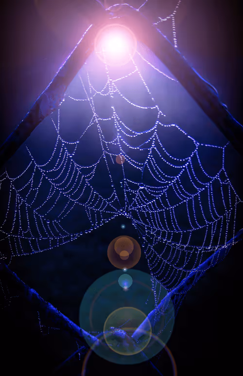 Item #62289031372822270265084164180090740286412652417376173144392165598295184375809 Media