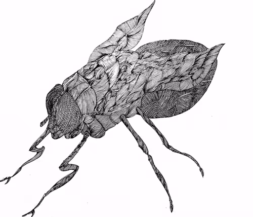 Item #71440405329444553480911774342584611180349127327106922999030563939234544091137 Media