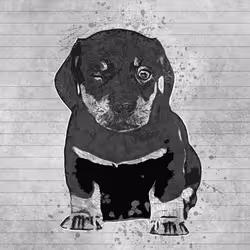 11276162529628641556553056529614973332754405277106184420845745642547219267585