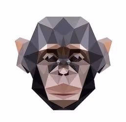 Item #101073002834770621065633840614552793696874448927462001321889374172386097627186 Media