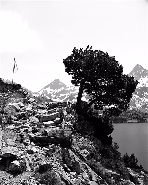 Item #61601413983432262200822046408210296549184035160504594584973518297388640370698 Media