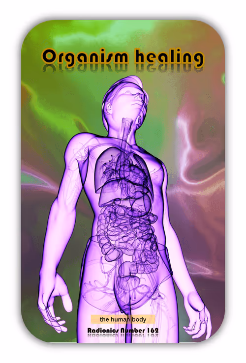 Item #72700882342532285468727955038450388064020909560782875748537940105047918511280 Media