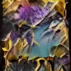 84436295188037170819729163282069840282005888216225721239977656880351229771777