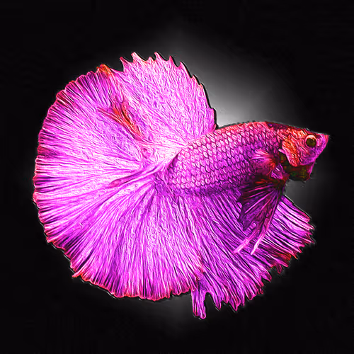 Item #73423654428024661336379470947819889295714855264791127270755008429186051211284 Media