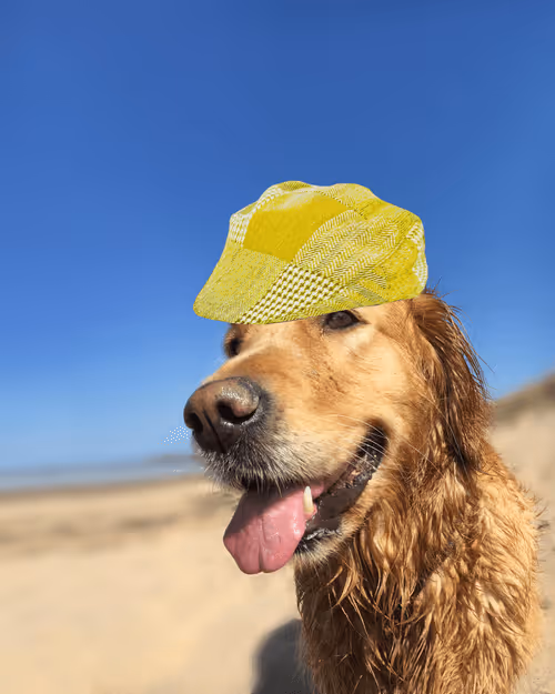 Item #26839399415497039076862880694069072006331525189107682525417321770890947461121 Media