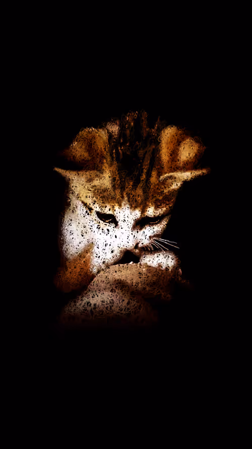 Item #20286817641922993541065929101952433978531825078991625494647867621785171132417 Media