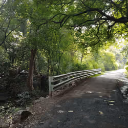 The way to home