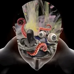 82499821858828394777303765086255735206290245587146606633114827928586971774978