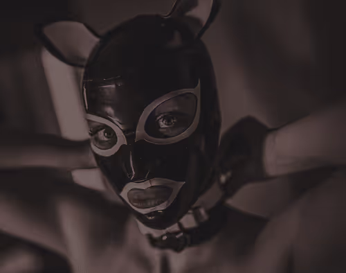 Item #45270907079150831630835126991051497487401745307980783275453893944727696310273 Media