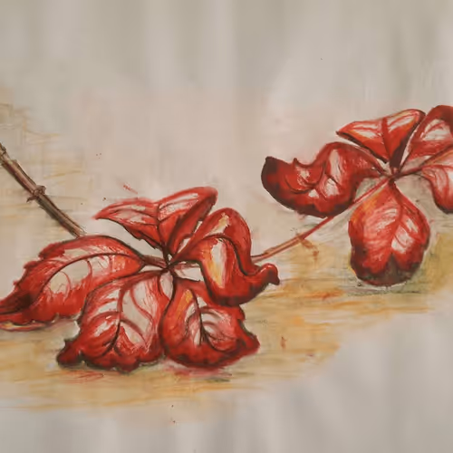 Item #18555901255803662960554781728171964529156854645803769185665032039393872838661 Media