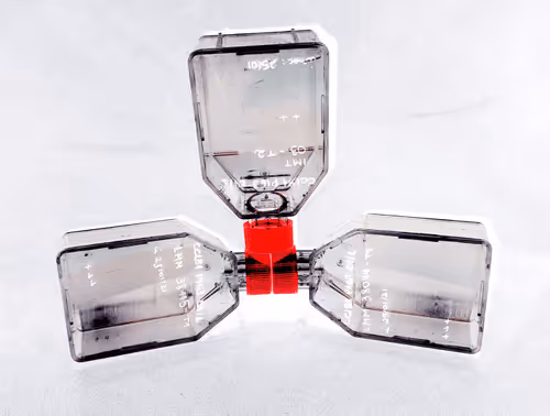 Item #108955583872739655741702358868652756405273862791069305959596897699507856211969 Media