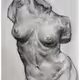 Shanni Collection