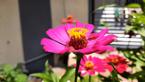 Item #78774018974347764357765192518377150739749637856503949941232678364397516619777 Media