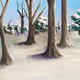 winter woods