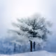 24822309215306814909382858146219744079137228993562935620839616775207893598209