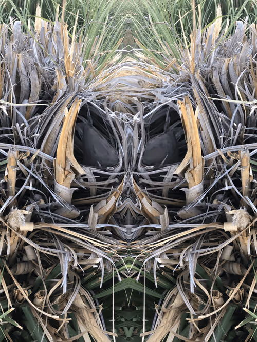 Item #65606485736527137616885657968113571188205075351696562298008986905005579567105 Media