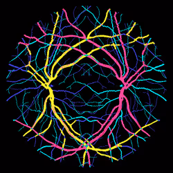 7078802064077755305879053961196844759257248211509687953083586493829762514945