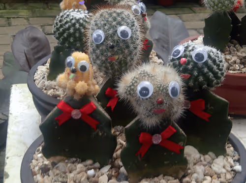 Item #37516064537770035680052873239536524565537974691545947122126397560505071828993 Media