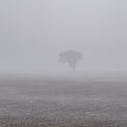 Fog