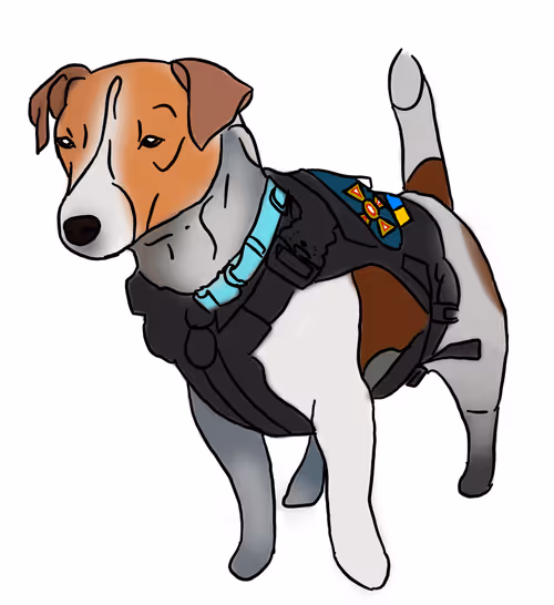 Item #18251941978977772566806610361051327464870196046667979122264010715705529860097 Media