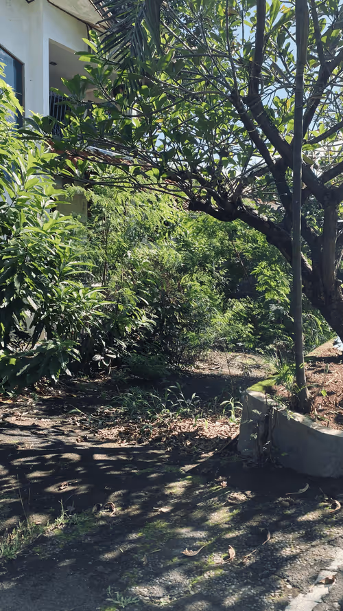 Item #67351599835119222926472791054605114312857726710672675867915900287498414194689 Media